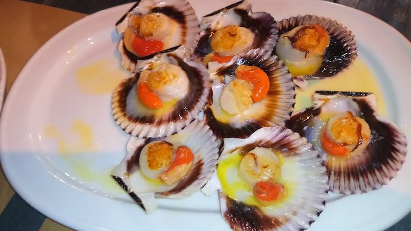 Various seashells served